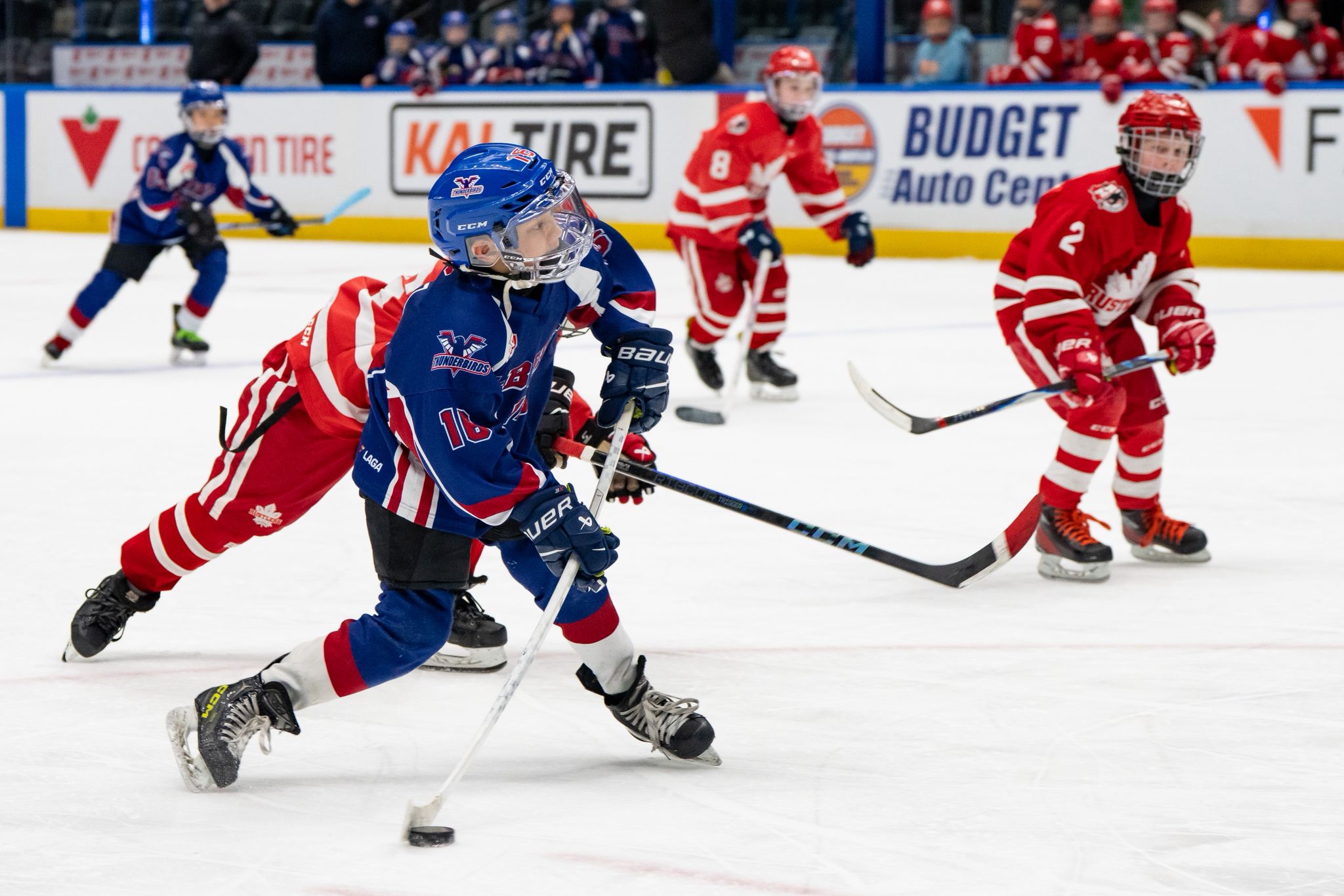 Birds Nest Community local youth hockey vancouver thunderbirds tournament