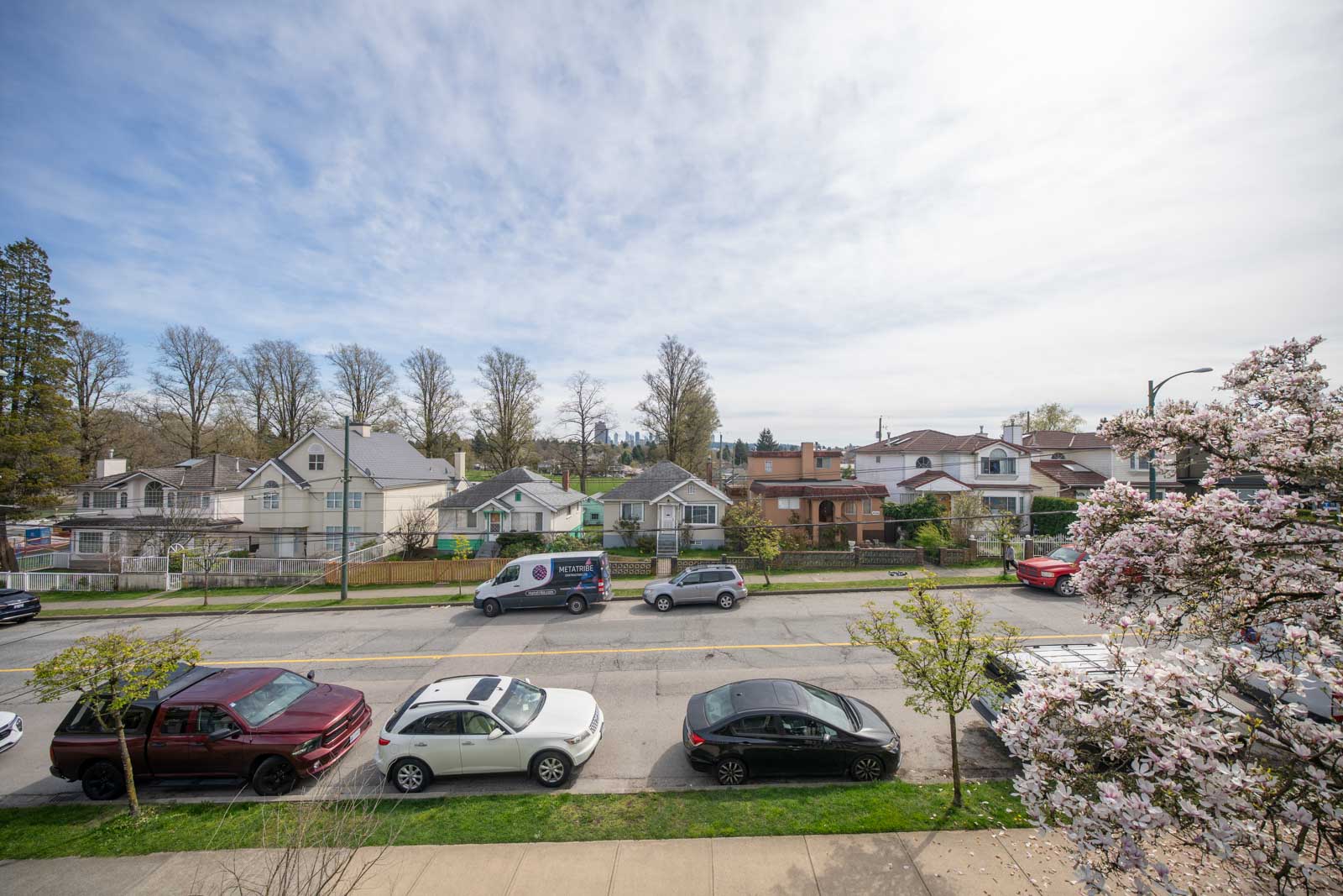 A residential street with parked cars, houses, leafless trees, and blooming flowers on a cloudy day.