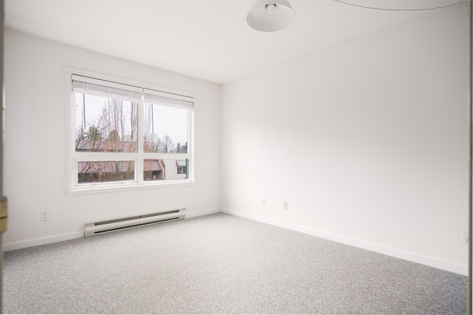 Empty room with white walls, a large window showing an outdoor view, a ceiling light, grey carpeted floor, and a baseboard heater below the window.