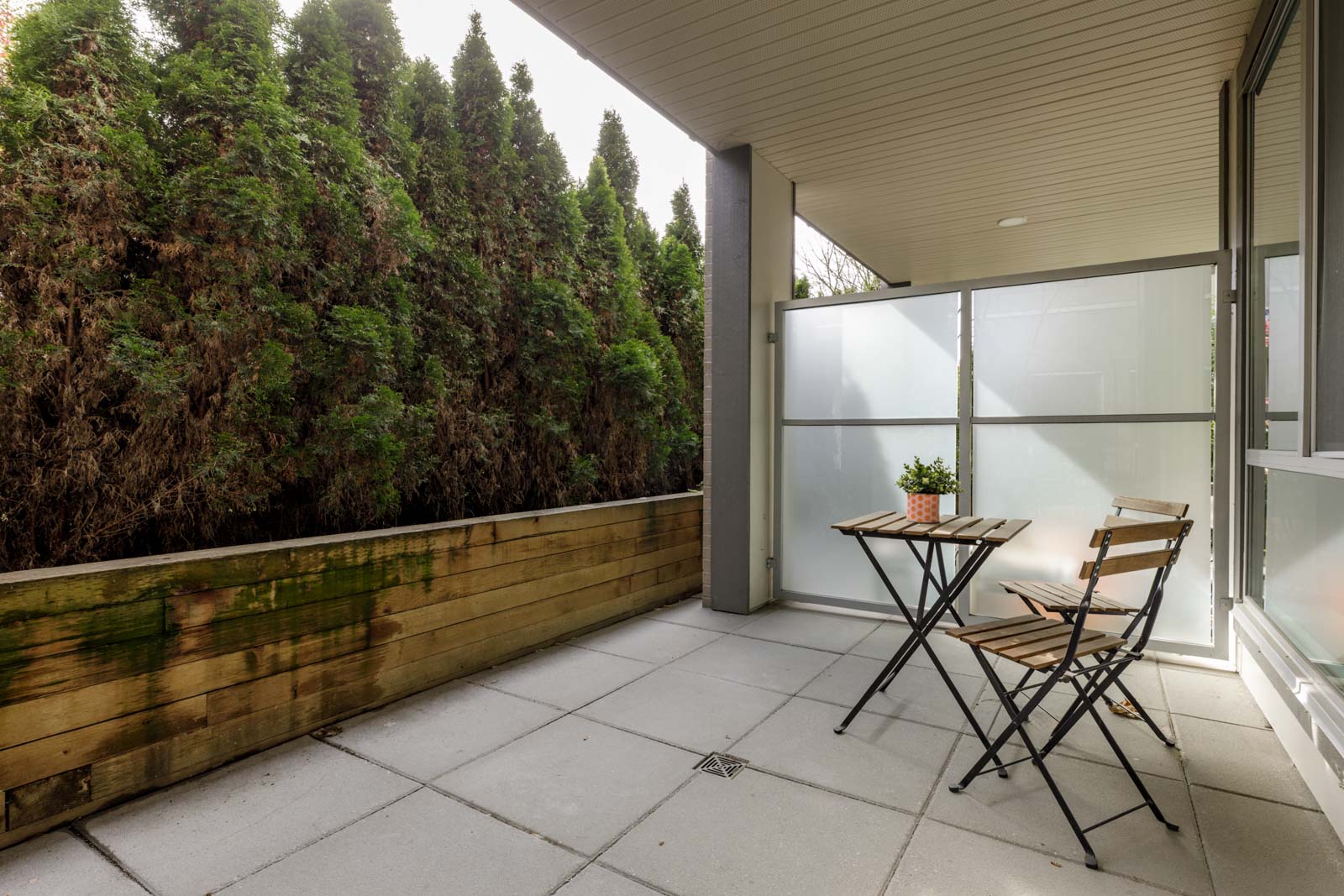 A small patio with a wooden table and two chairs, frosted glass panels for privacy, and tall evergreen trees along a wooden planter.