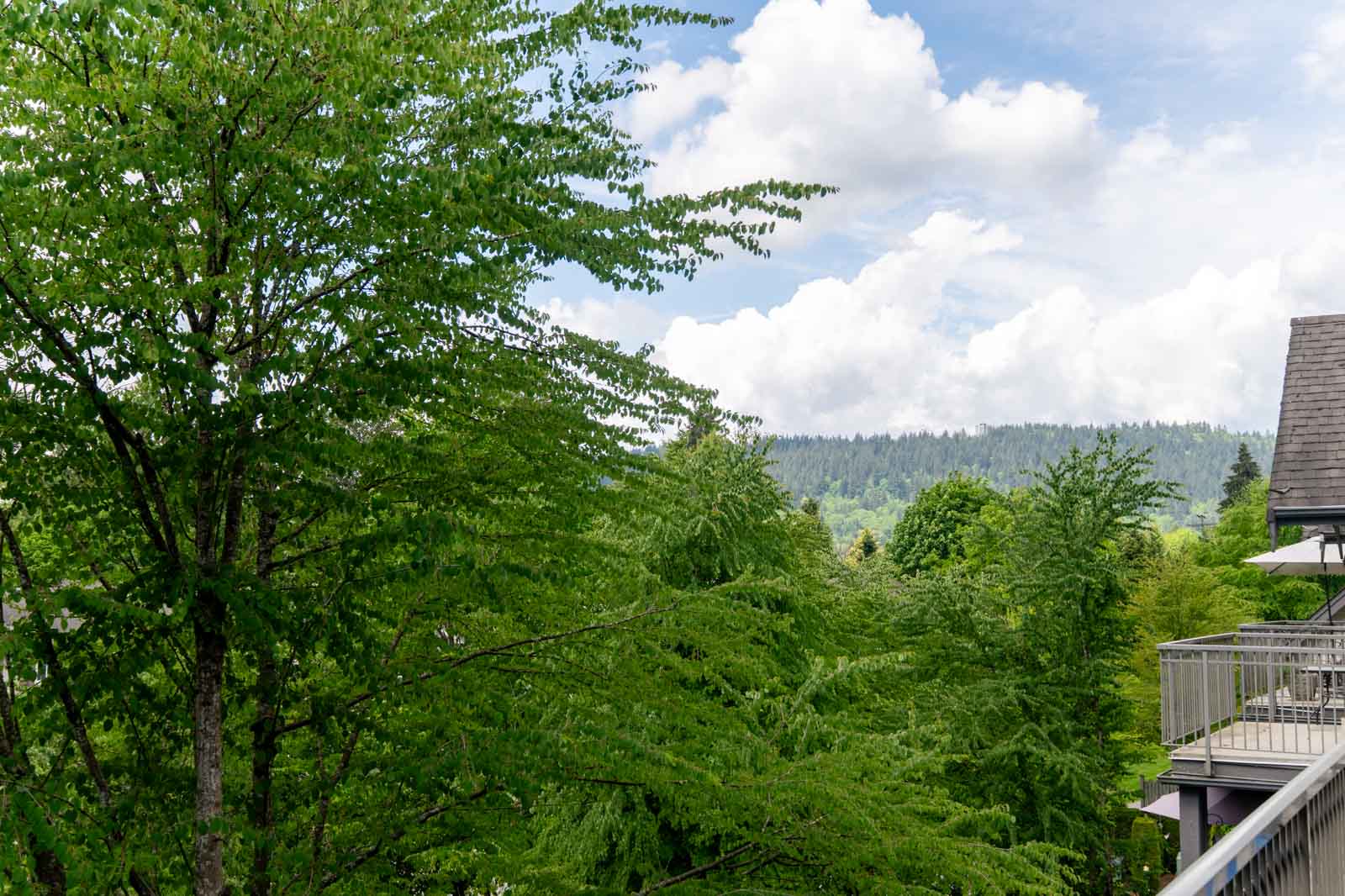 Green trees and foliage in the foreground with hills and a cloudy sky in the background; part of a building and balcony visible on the right.