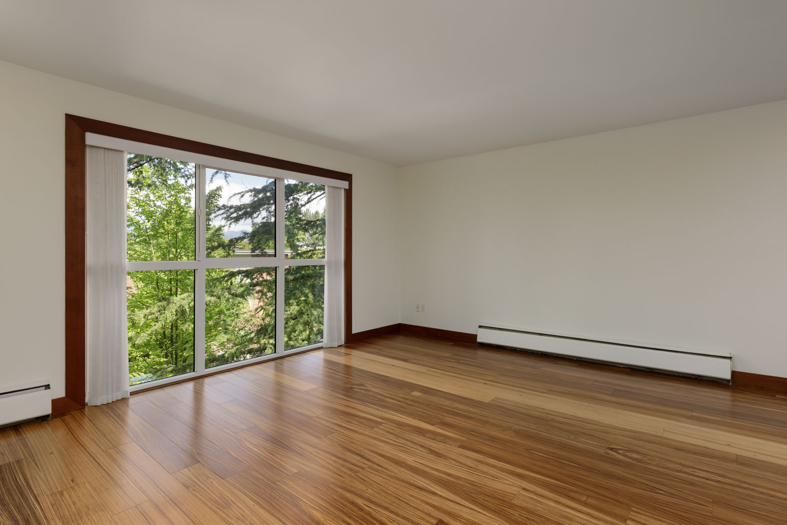 Empty room with light-colored walls, large window with a view of trees, wooden floor, and baseboard heating.