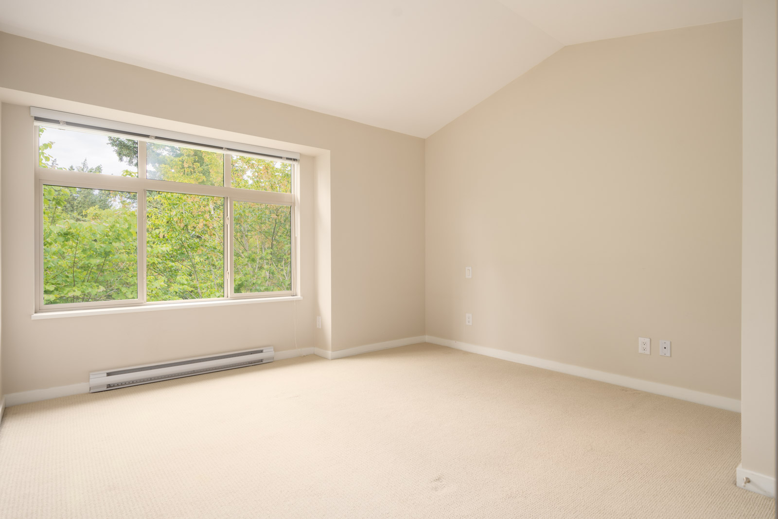 An empty room with beige walls and carpet, a large window with a view of trees, and baseboard heating along one wall.