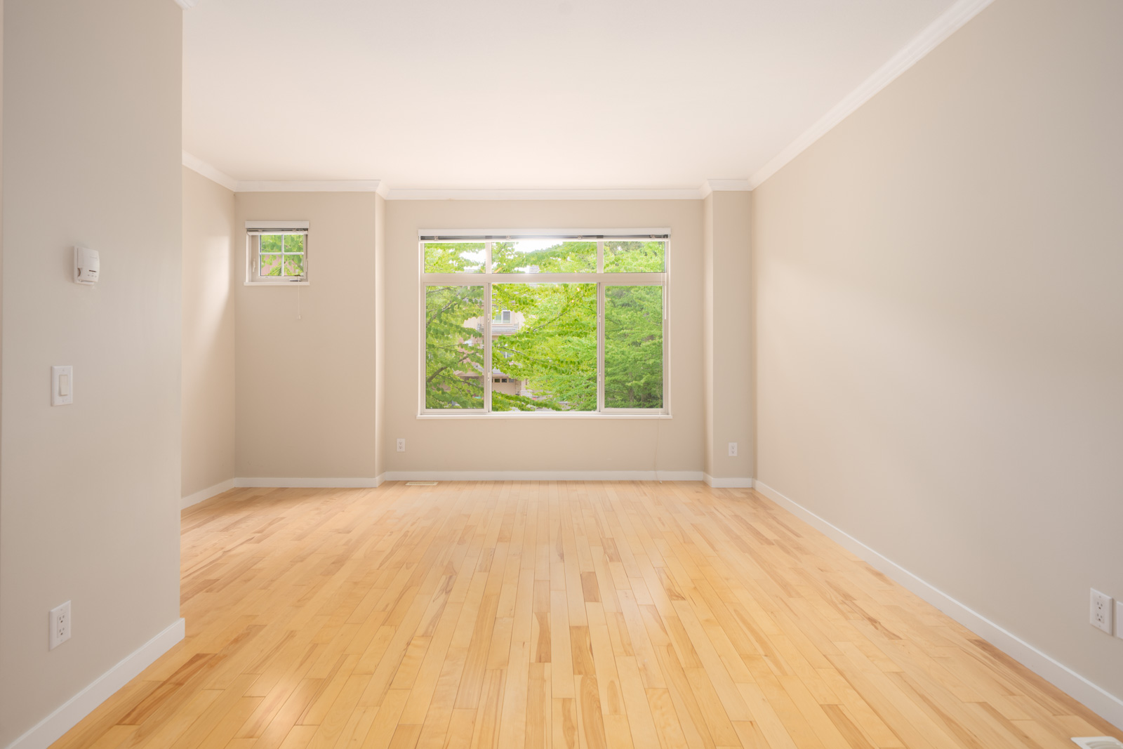 Empty room with light wood floors, beige walls, white trim, and a large window showing green trees outside.