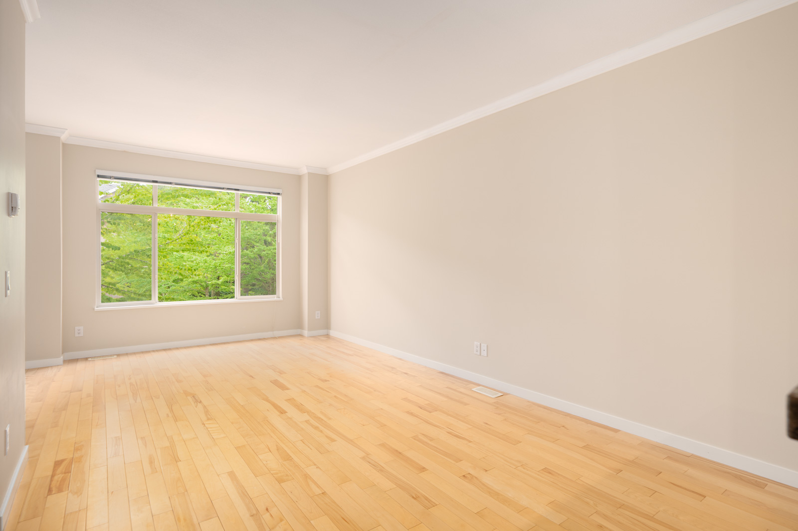 Empty room with light hardwood floors, beige walls, white trim, and a large window showing green trees outside.