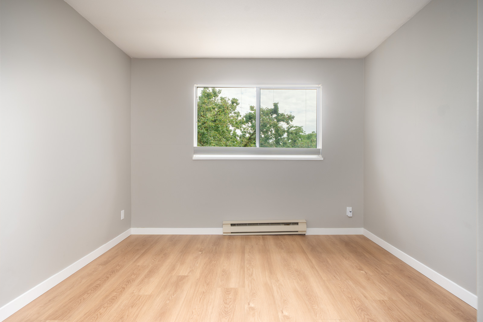 Empty room with light-colored wooden floor, gray walls, a single window showing green trees outside, and a white baseboard heater under the window.