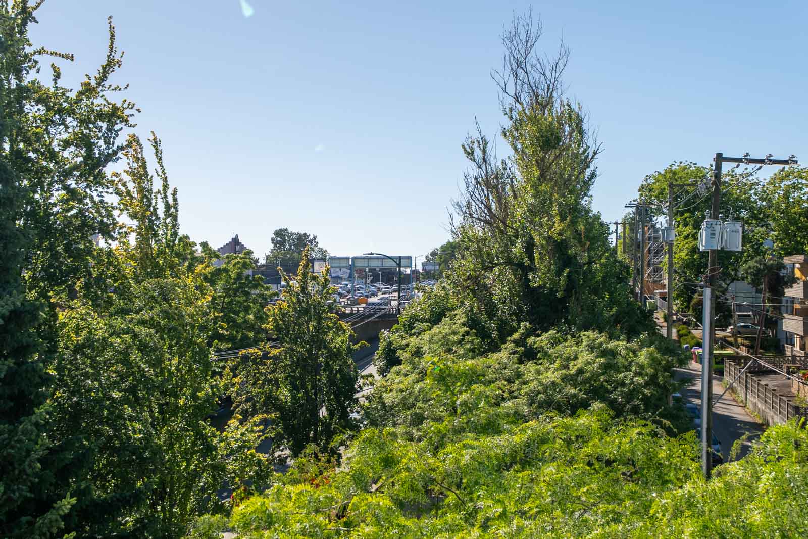 Trees and greenery in the foreground with a parking lot and buildings visible in the background under a clear blue sky.
