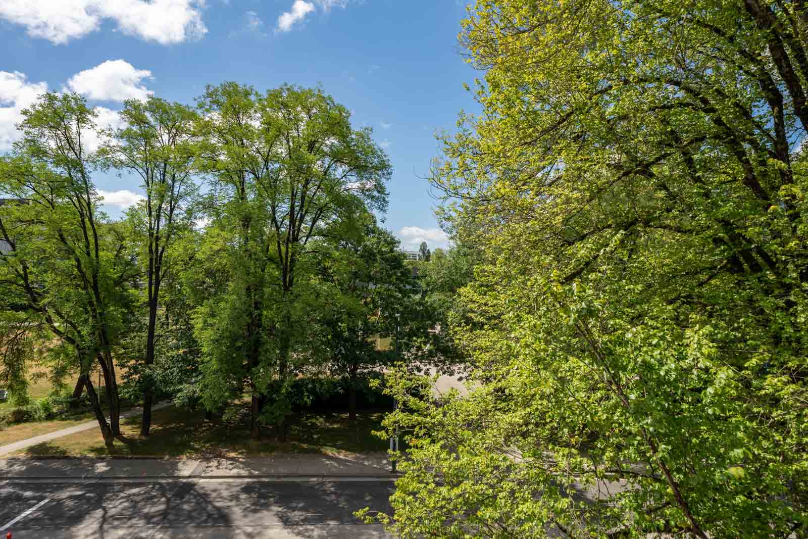 A view of a road bordered by tall green trees under a partly cloudy sky.