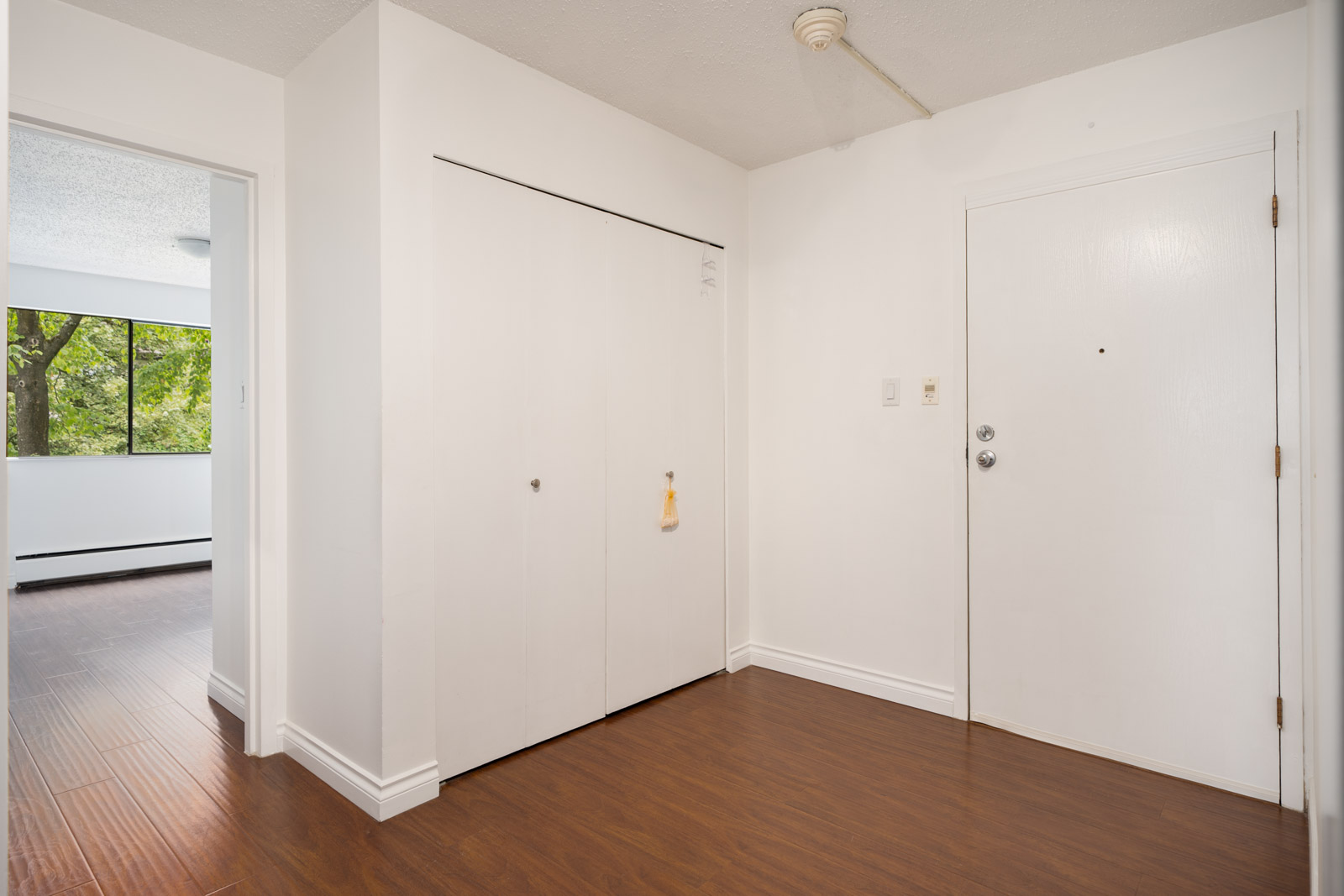 Entryway with white walls, a white door, double-door closet, brown wood floor, and view into a room with large windows and trees.