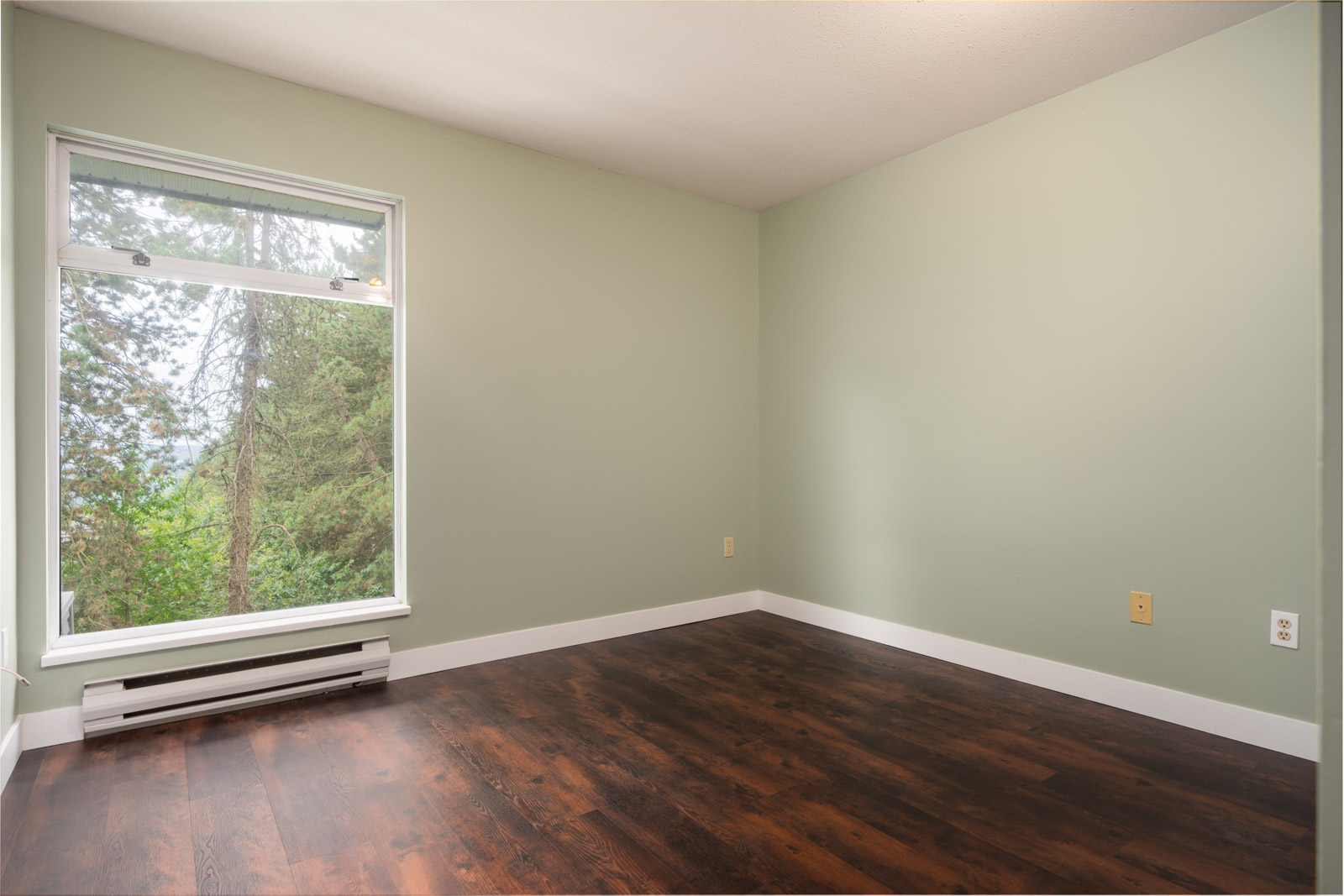 Empty room with pale green walls, dark wood floors, large window overlooking trees, white baseboards, and wall heater below.