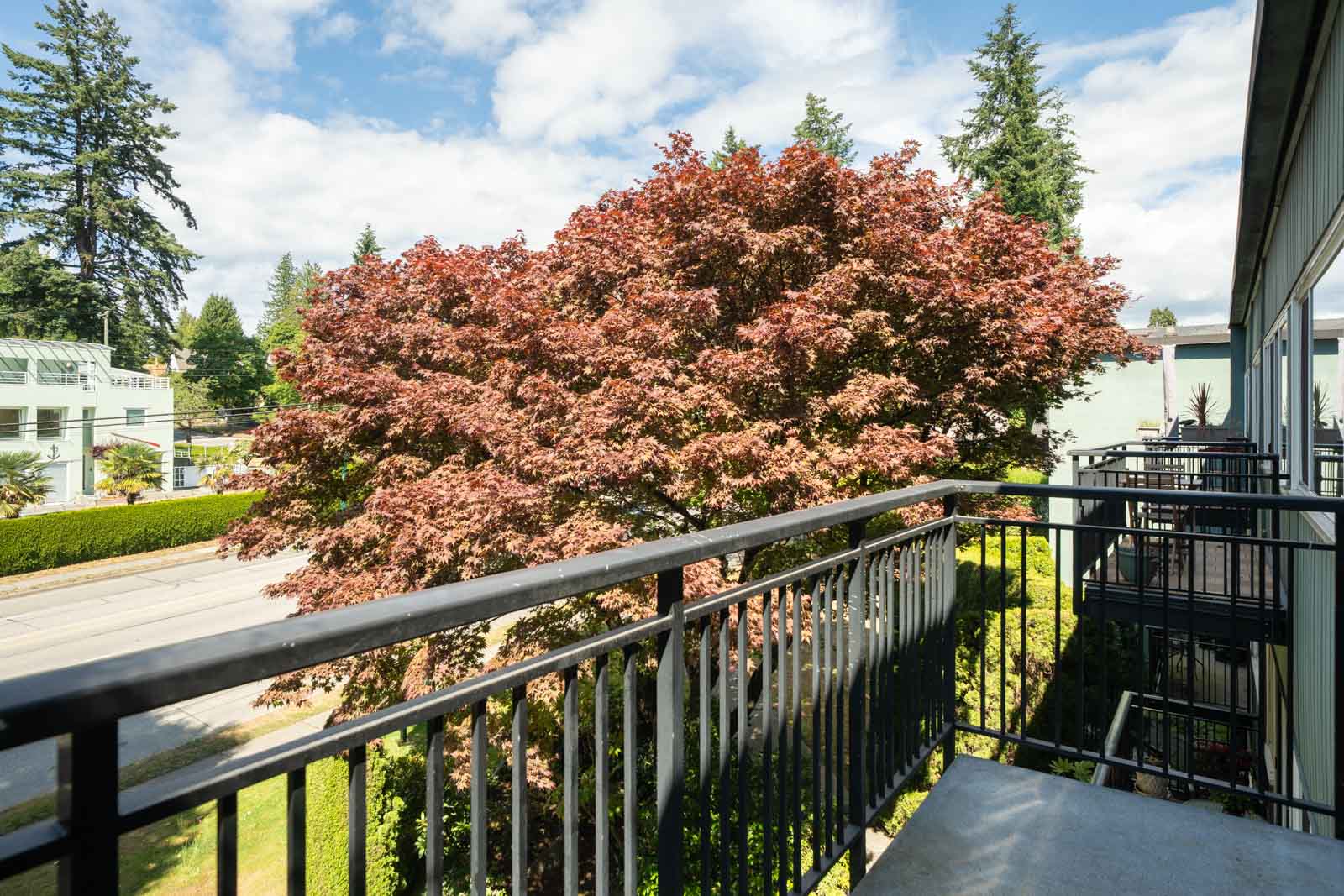 A view from a balcony shows a large red-leaved tree next to a road, with buildings and tall evergreen trees in the background under a partly cloudy sky.