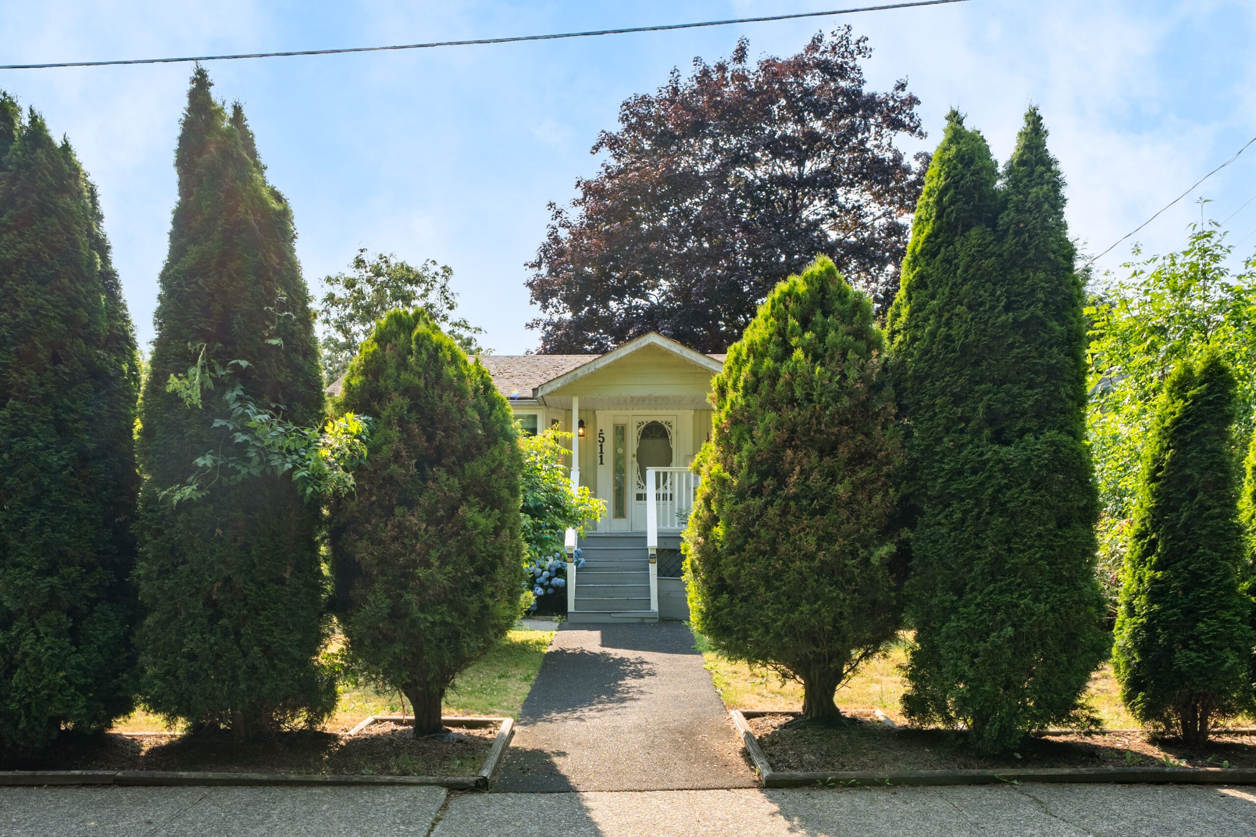 Small yellow house with front porch, partially obscured by tall green trees lining a walkway that leads from the sidewalk to the entrance.