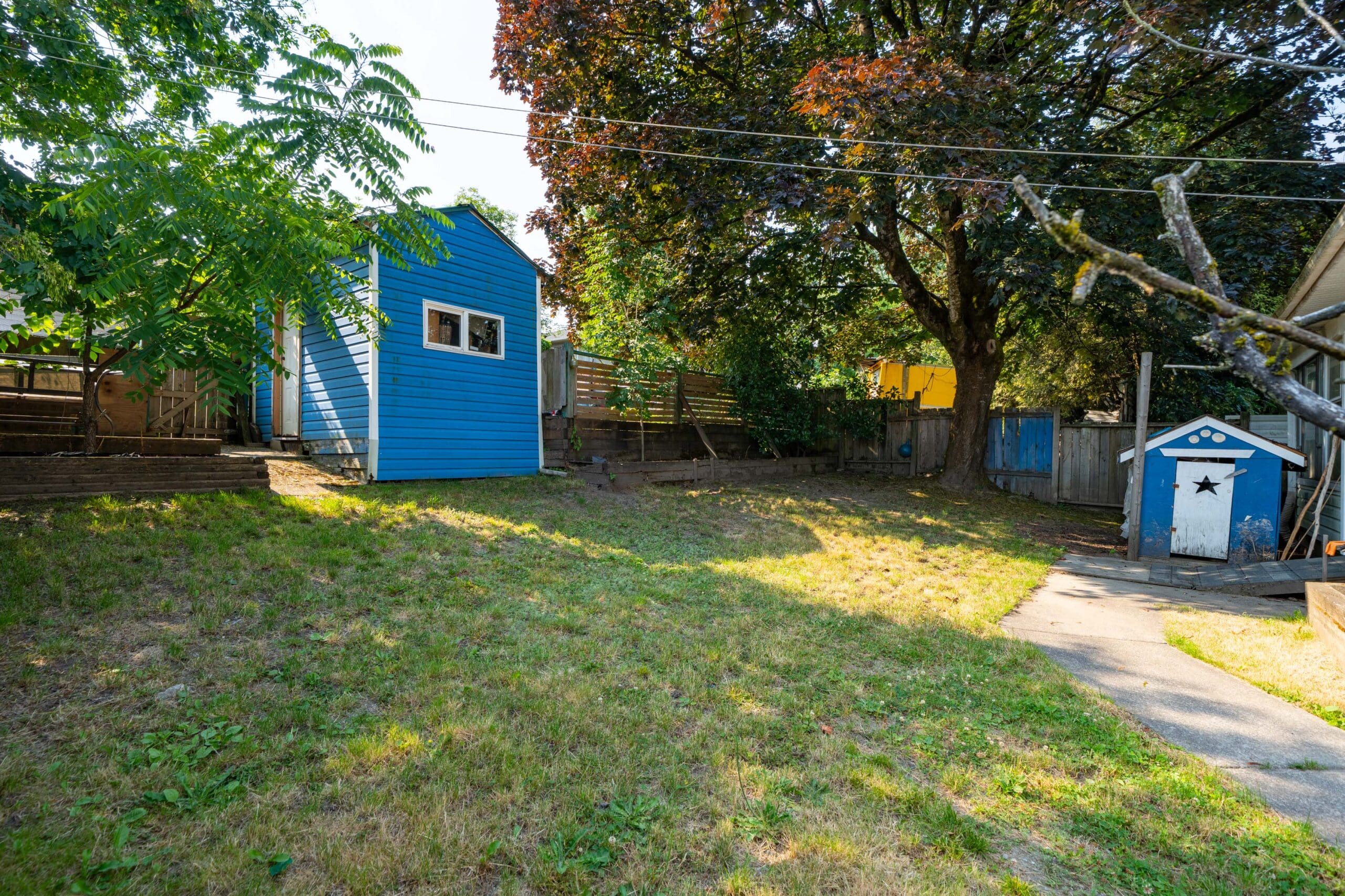 Backyard in New Westminster with patchy grass, blue shed with white door and star, larger blue structure, trees, and wood fence.