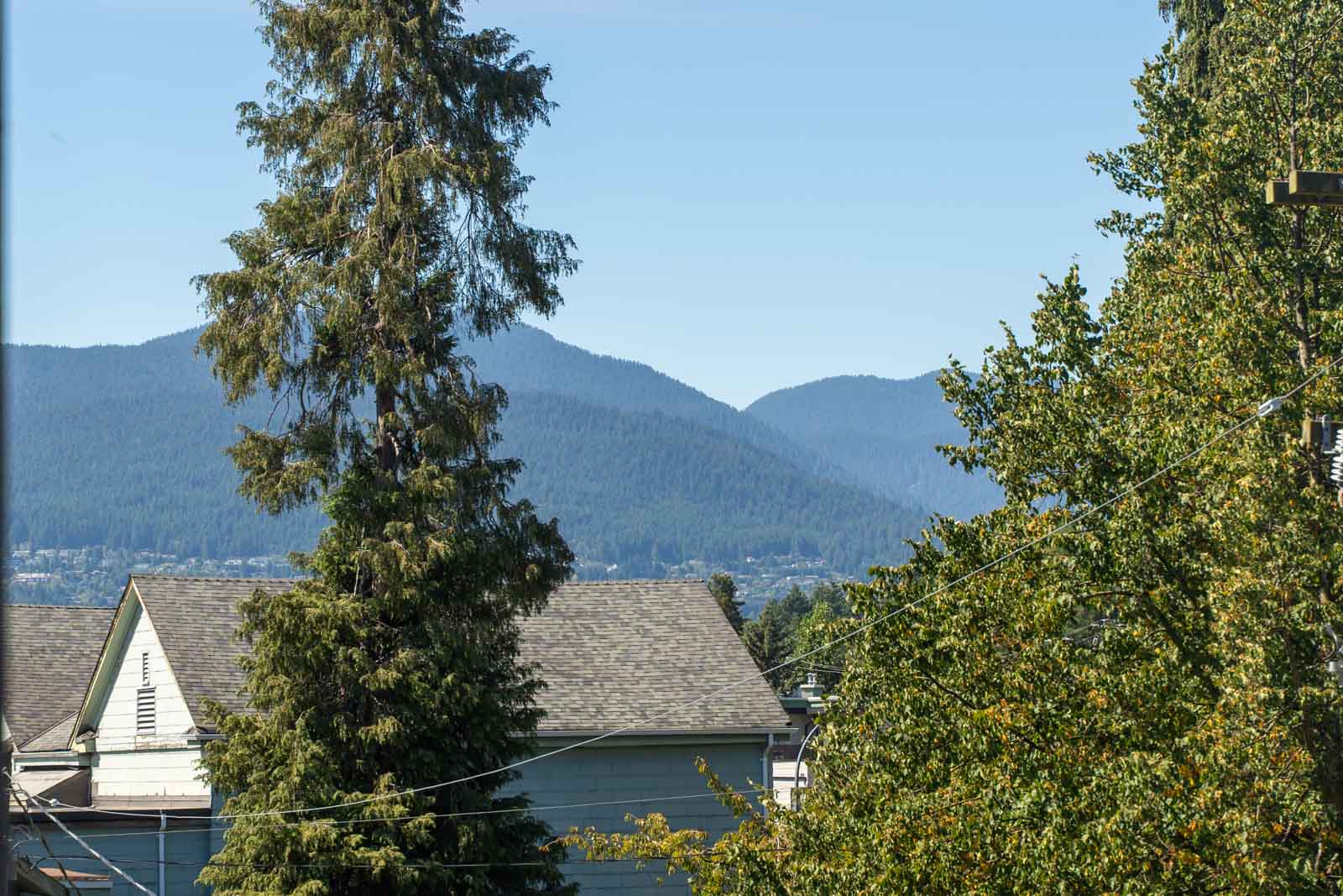 Rooftops, tall trees, and distant green mountains under a blue sky with power lines in front, seen from 160 3rd St W, North Vancouver.
