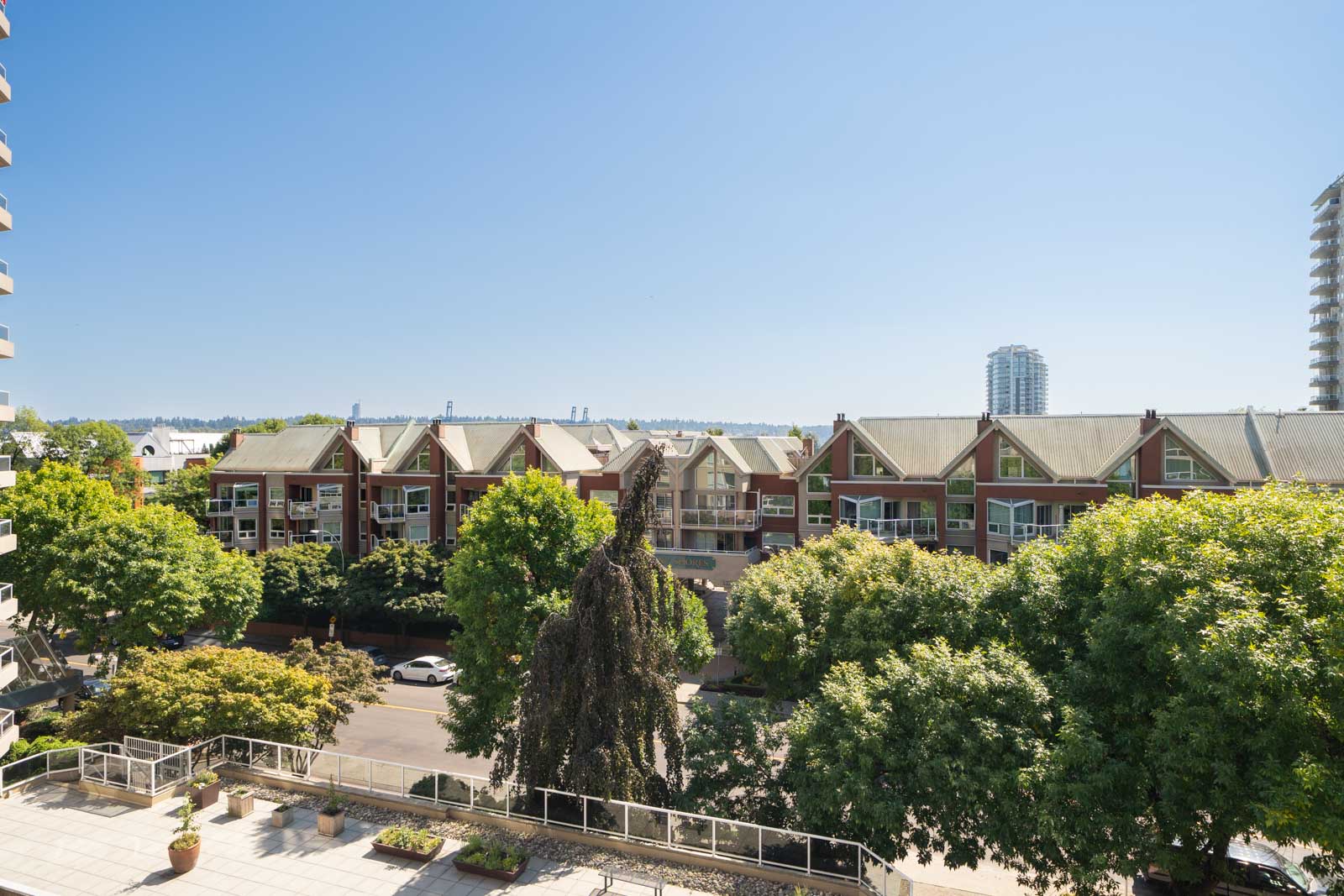 Quiet tree-lined street in New Westminster with red-brick homes on Quayside Dr, taller buildings in distance, clear blue sky.
