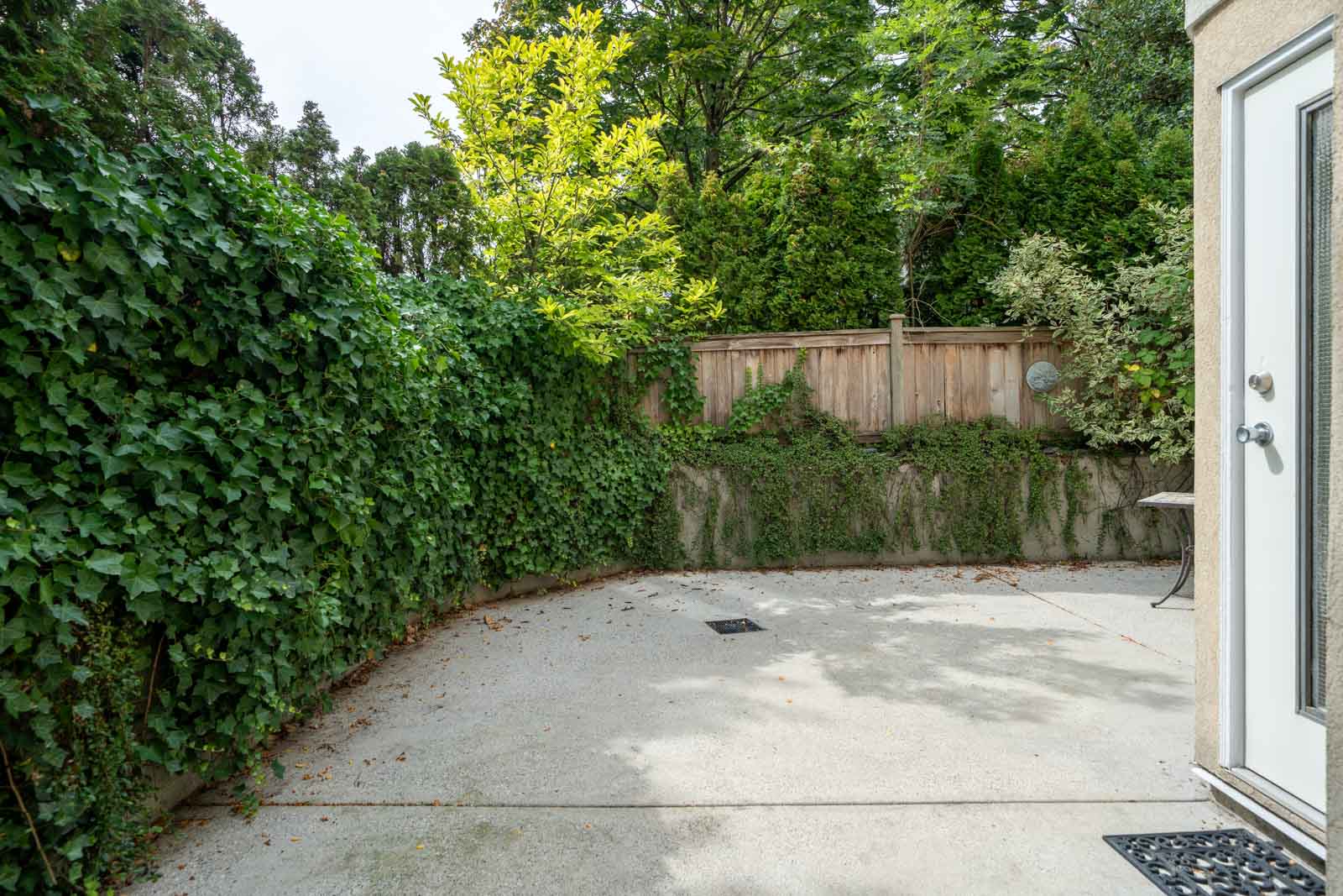 Concrete patio at 1099 West 71st Ave, Vancouver, bordered by ivy-covered walls, a wooden fence, greenery, and a glass door on the right.