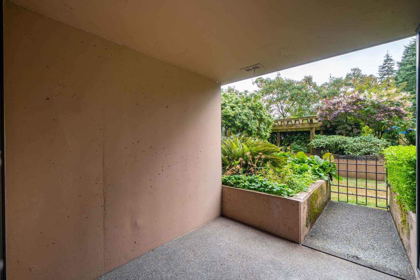 Covered concrete patio in 1st floor condo at 460 Westview St with planter box, lush garden, and metal gate in the background, Coquitlam.