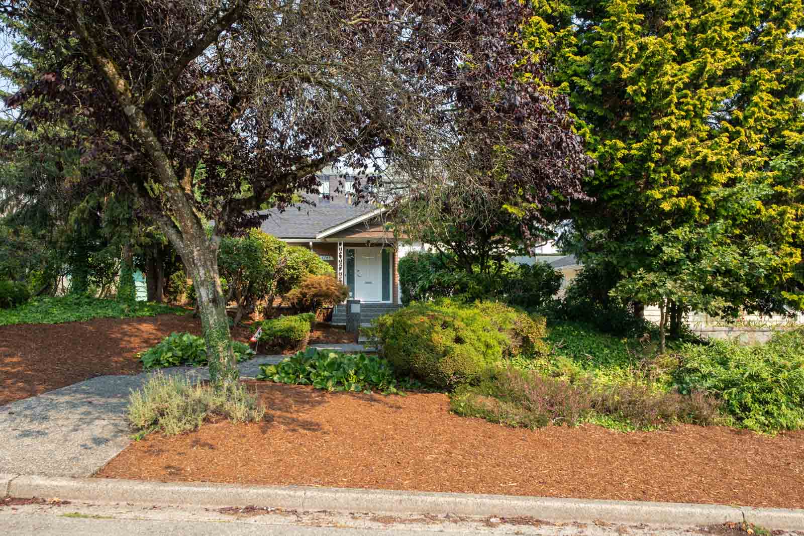 A small multi-family house partly obscured by trees, with front door and path from W 50th Ave sidewalk near Ash Street.