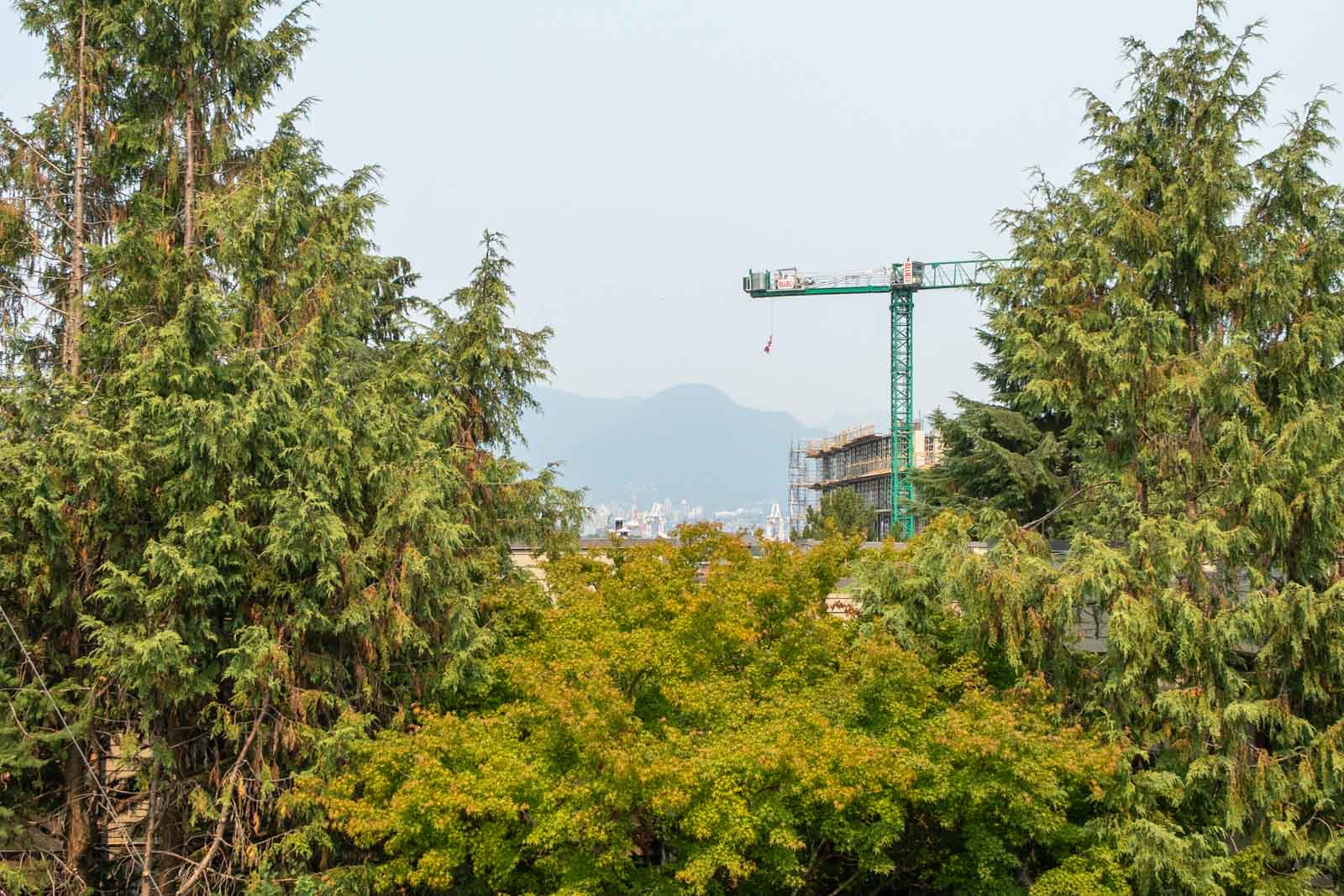 A construction crane and building seen through tall evergreens, with mountains and hazy sky, near 1099 E Broadway, Vancouver.