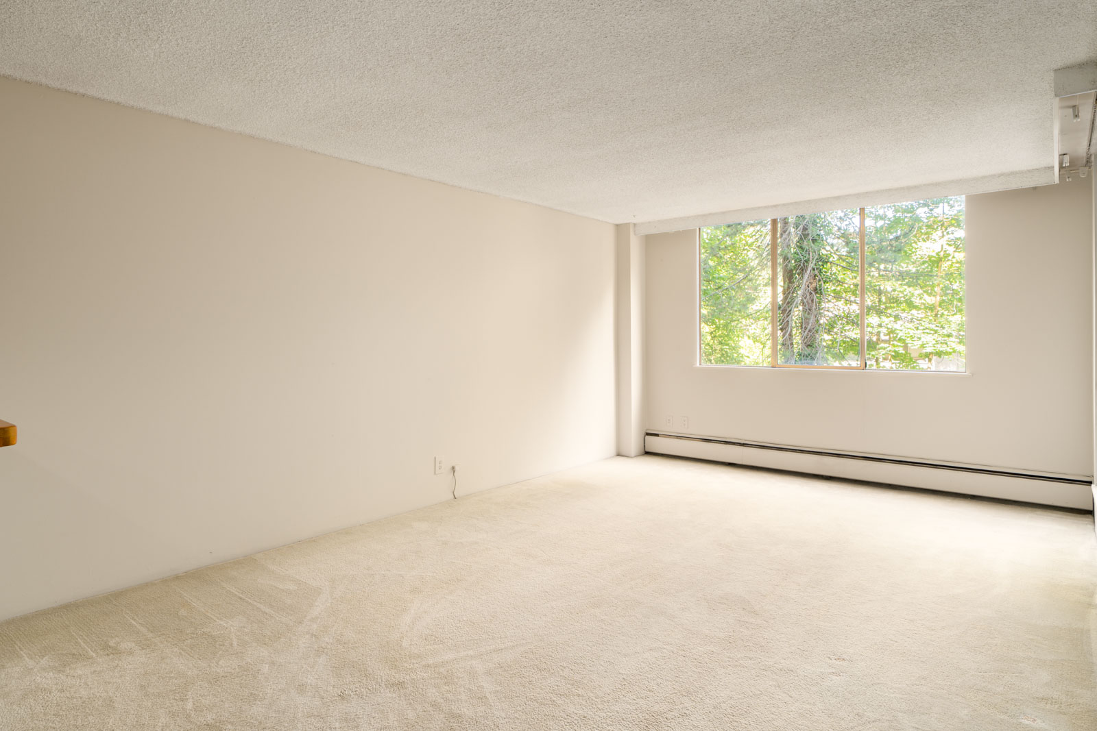 Unfurnished 5th floor room with off-white carpet, beige walls, and large window facing trees near Fullerton Ave, Vancouver.