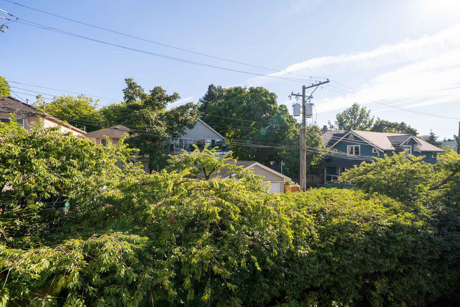 Partially hidden houses and garages behind dense green trees along Triumph St, Vancouver, under clear sky and utility poles.