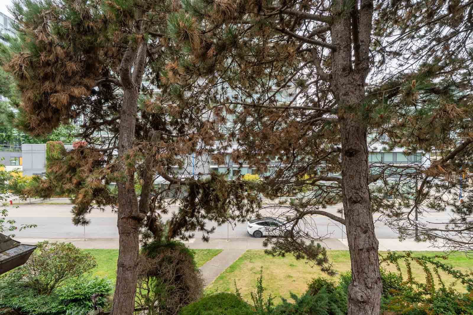 Two tall pine trees partially block the view of a street, white car, and modern building in Richmond from 6560 Buswell’s 2nd floor.