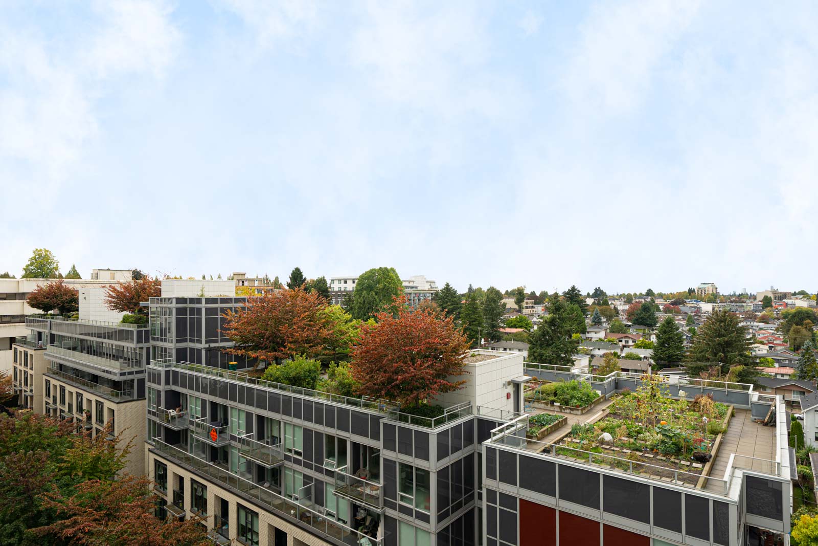 Modern apartments with rooftop gardens and trees line Boundary Rd in Vancouver, bordered by houses and greenery under clouds.