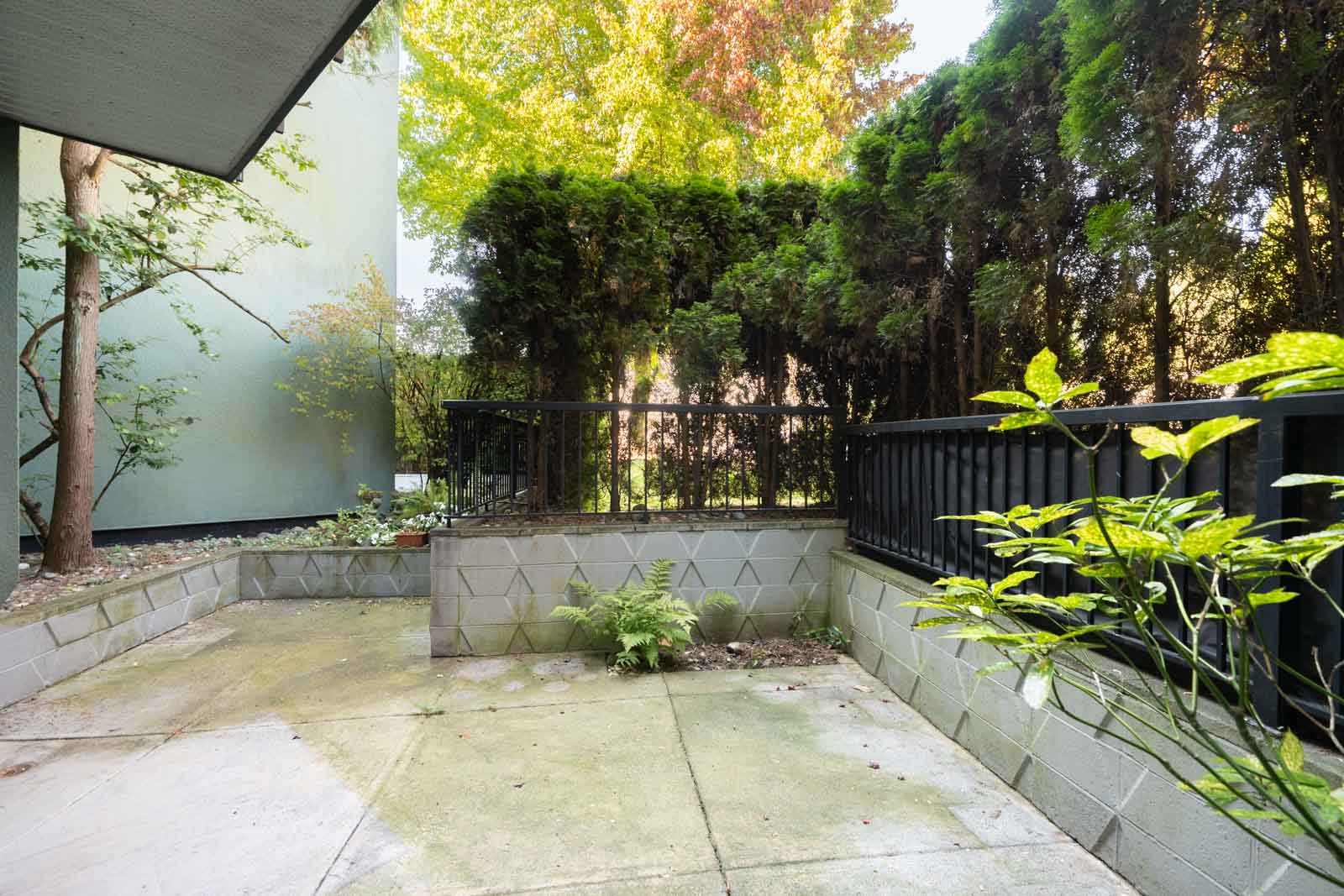 Concrete patio with raised beds, metal fence, and tall evergreens in partial sun at 1970 W 41st Ave, Vancouver.