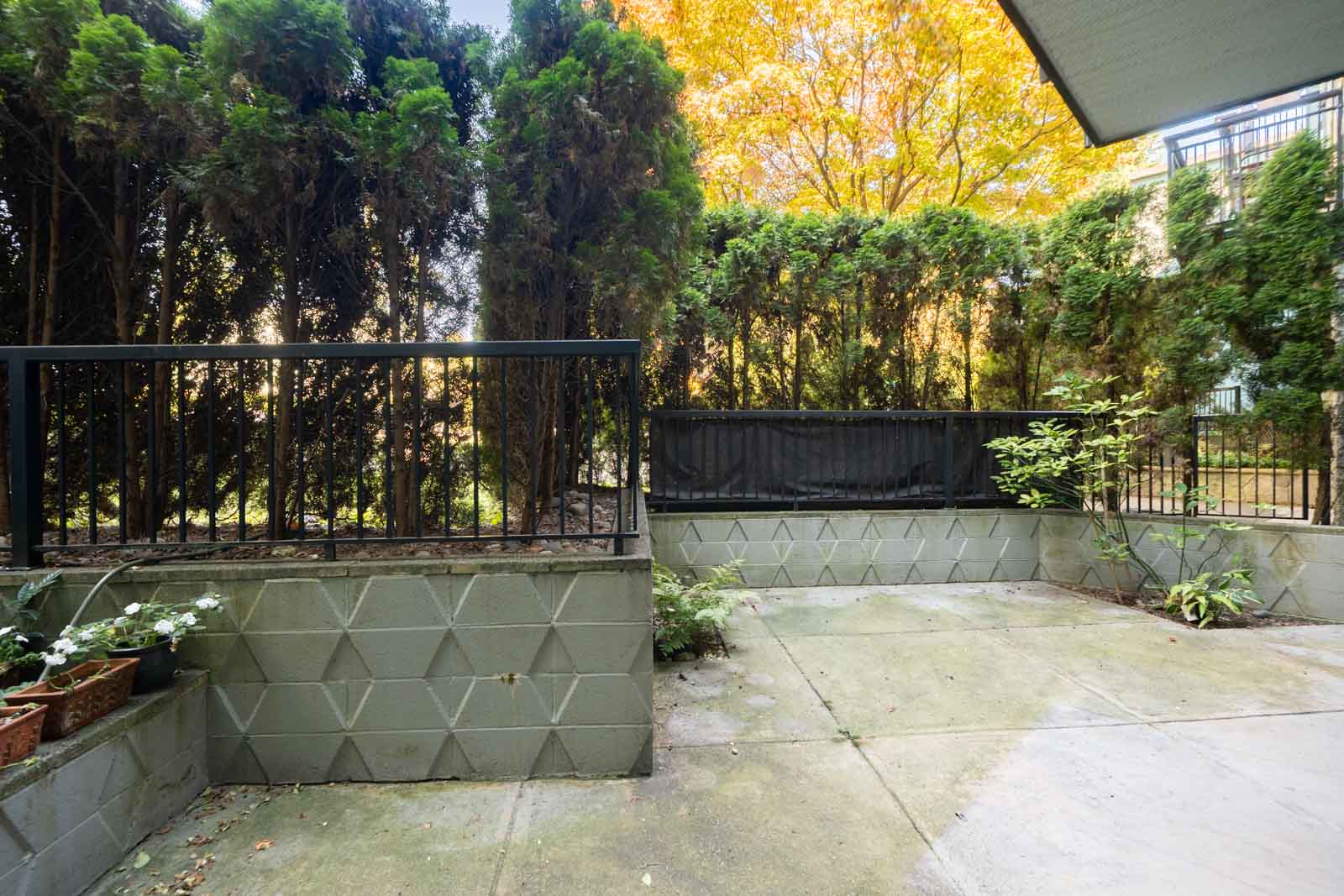 Concrete patio with metal fence, green trees, potted plants on the left, and autumn foliage in back at 1970 W 41st Ave, Vancouver.