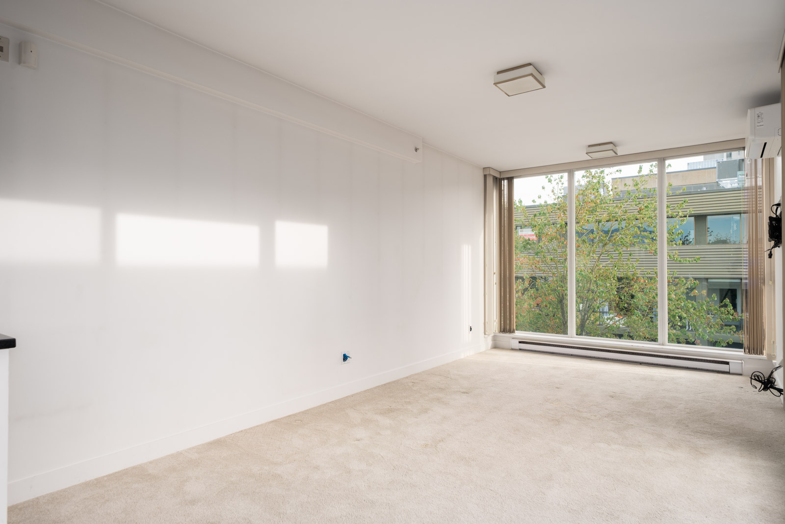 Empty room with beige carpet, white walls, large window, and natural light. Trees and a building visible outside in Vancouver.