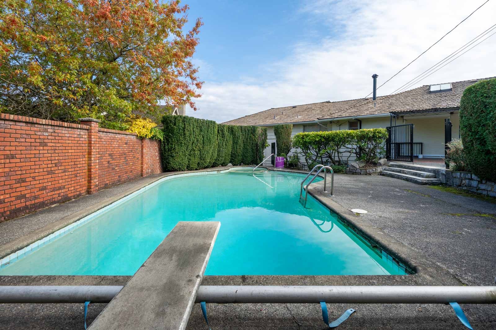 Backyard swimming pool with a diving board at the Paton Street property, enclosed by a red brick wall and tall hedges.