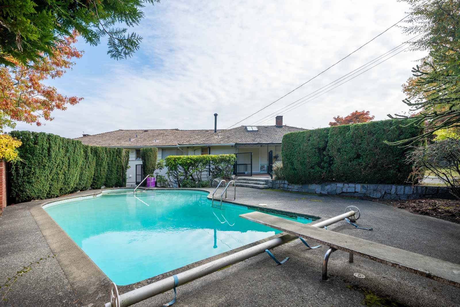 Backyard swimming pool with a diving board and concrete deck, bordered by tall hedges near a Haggart Street house.