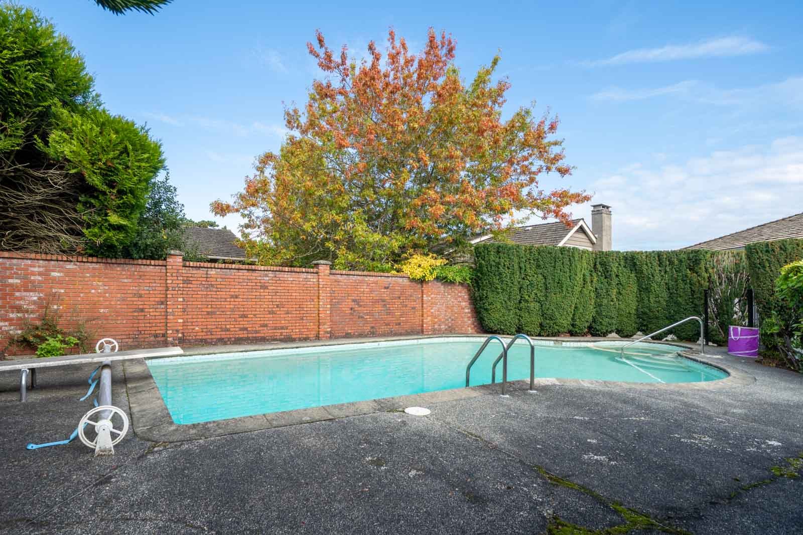 A backyard swimming pool at a Vancouver residence, framed by a brick wall, tall hedges, and an autumn tree.